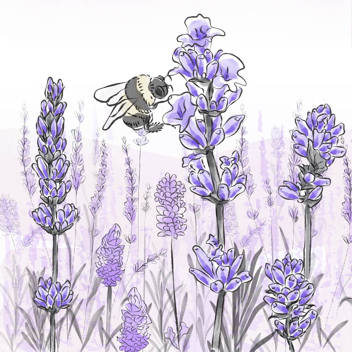 LAVENDER SAGE - ก้านไม้หอมกระจายกลิ่น