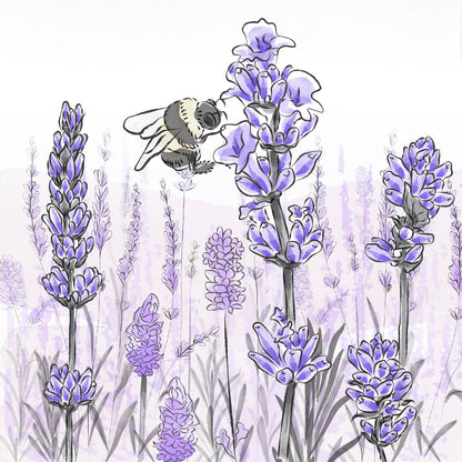 LAVENDER SAGE - ก้านไม้หอมกระจายกลิ่น